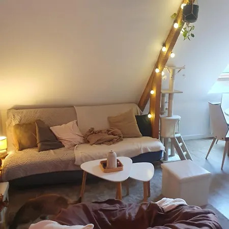 Le 105 - Appart-sympa - T2 Vue Jardin Et Cave - Apartment *